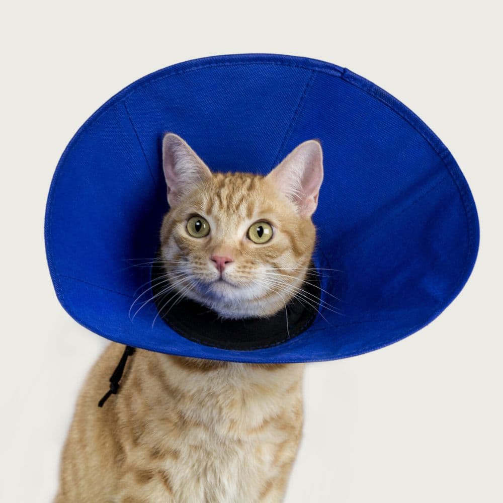 https://admins.vetfarmas.ee/storage/media/7186/742061400558_1_KVP-pēcoperācijas-apkakle-suņiem-un-kaķiem-EZ-Soft-zila-14-31-cm-S.jpg